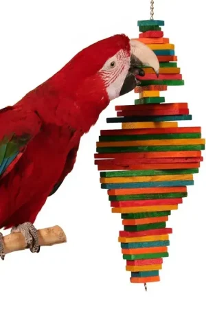 Betrouwbaar Zoo-Max Cocotte M